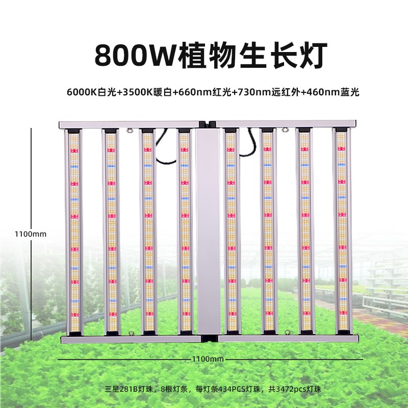 800W plant light