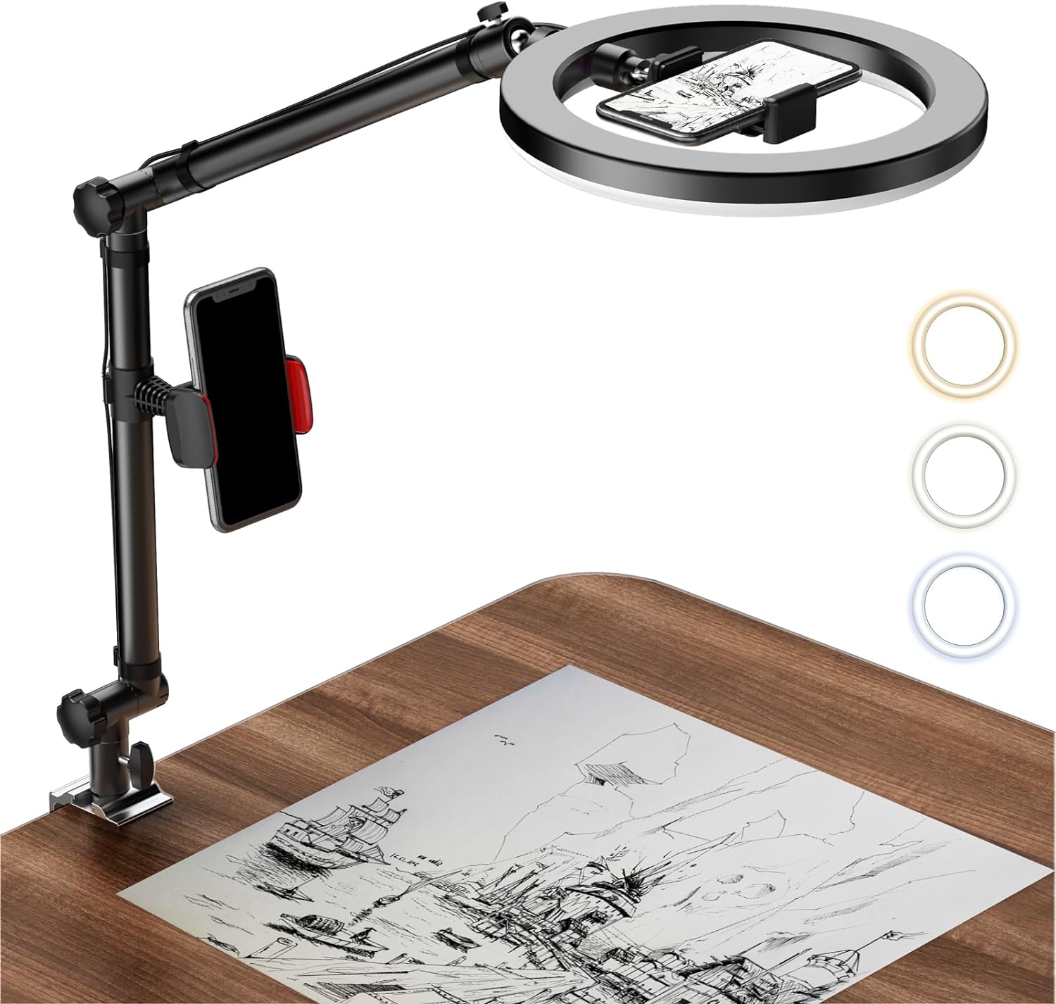 RF100 Desktop fill light